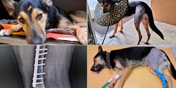 Jedna šíleně smutná princezna potřebuje pomoc