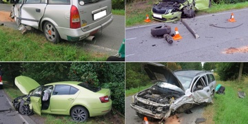 "Vyhýbal sem se ptáku na silnici"