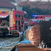 Šest jednotek hasičů vyrazilo hasit usedlost plnou zvířat