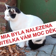 Mia byla nalezena, majitelka vám moc děkuje
