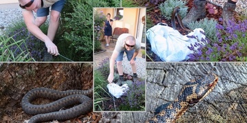 Kdo ženě přinesl zmiji na zahradu?