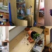 Vloupání patří k nejčastějším případům majetkové trestné činnosti