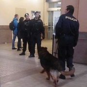 S téměř dvěma promile útočil ve vlaku