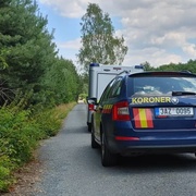 Na muže padl strom, zemřel na místě