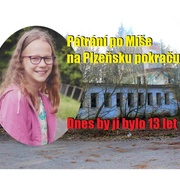 Pátrání po Míše na Plzeňsku pokračuje
