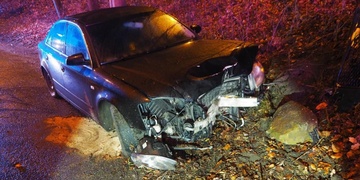 Se zákazem řízení a pod vlivem alkoholu i drog narazil do stromu
