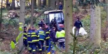 Muže zabil v lese padající strom