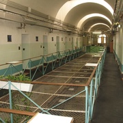 Smrt vězně ve věznici Bory