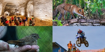 Podzim v Plzeňském kraji láká na kola, veterány, kávu i tajemné podzemí