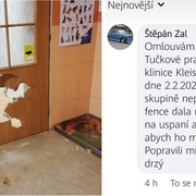 "Poprava psa" aneb vyvrácené lži a pomluvy na internetu