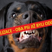Dvojice Rotvajlerů pokousala desetiletou holčičku - aktualizováno