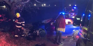 Auto s mladíky skončilo ve stromě