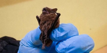 Noční návštěvníci školy překvapili i zkušené strážníky