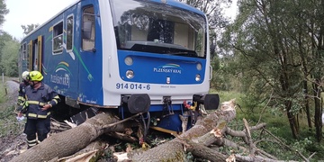 Vykolejení vlaku po nárazu do stromu