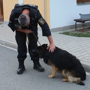 Strážníky napadl pes i jeho majitel