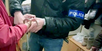 Lidská hyena, která zbila a oloupila devadesátiletou stařenku, byla dopadena