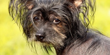 Neuvěřitelný zásah záchranky i hasičů