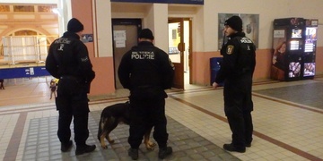 Muž se rozhodl vyprovokovat služebního psa strážníků