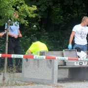 V Borském parku byla nalezana mrtvola muže
