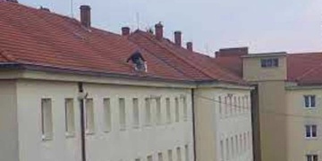 Muž se rozhodl skočit ze střechy nemocnice