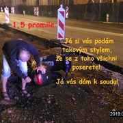 Já si vás podám!
