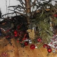 Požár vánočního stromečku v bytě i zcela vyhořelá chata