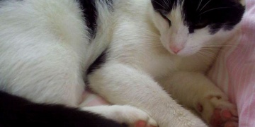 Neviděli jste Mášu?