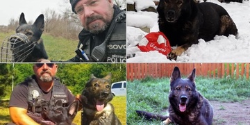 Ahoj Dare a Vire, zdravíme psí veterány