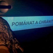 Dva ptačí příběhy z Plzně