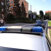Pachatel okradl nejbližší ženu jen 15 minut poté, co ho policisté propustili.
