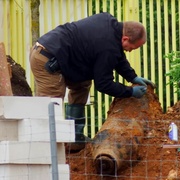 Nalezená puma je dle všeho zápalná 500LB