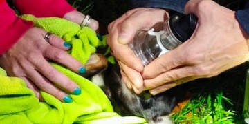 Hasiči nejen hasili hořící byt, ale zároveň i bojovali o život psa