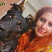 Na veterinu přivezli štěně s téměř uříznutou hlavou