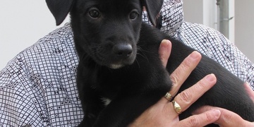 Syreček hledá nový domov a milující rodinu