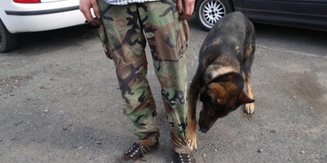 Když najdu drogu, štěkám a hrabu. Když najdu výbušninu, sednu si a mlčím!