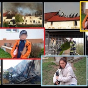 Prosím, pomozte Šárce, Vojtíškovi a Románkovi vrátit se domů!