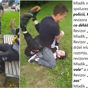 Rvačku s revizorem mladík prohrál
