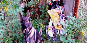 Zloděj nešika neměl svůj den - vzbudil psa, zlomil sekeru a skončil v rukou policie