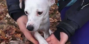 Případ pytláckých želez si převzala kriminální policie