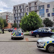 Srazil svou vlastní ženu autem a z místa ujel
