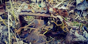 Fenka se chytila do pytláckých želez