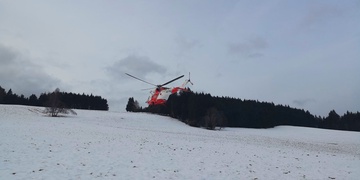 Muže zasáhl do hlavy padající kmen