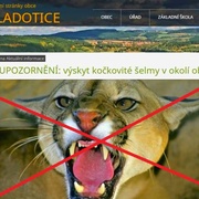 Puma, kočka a nebo jen kachna?