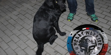 Nalezený slepecký pes rozpoutal noční pátrací akci