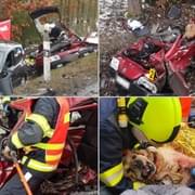 Při velmi vážné nehodě zemřel řidič i jeho pes Duky
