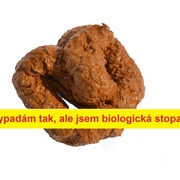 Nešikovný pachatel si před akcí zapomněl odskočit