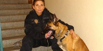 Máte psa bez čipu? Pozor, pokuta je až 20.000 korun