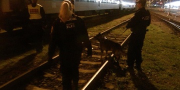 Zloději se zaměřili na lokomotivy