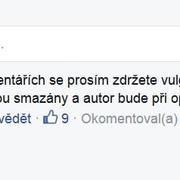 Někdo by uprchlíky střílel, jiný zas věšel