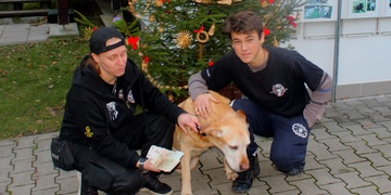 Vánoce pro pejsky letos přinesly 35.700 korun